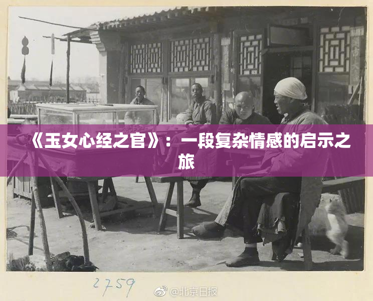 《玉女心经之官》：一段复杂情感的启示之旅