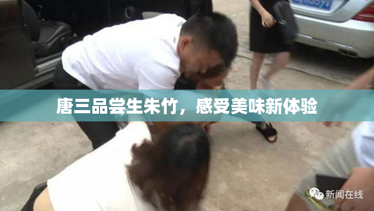 唐三品尝生朱竹，感受美味新体验