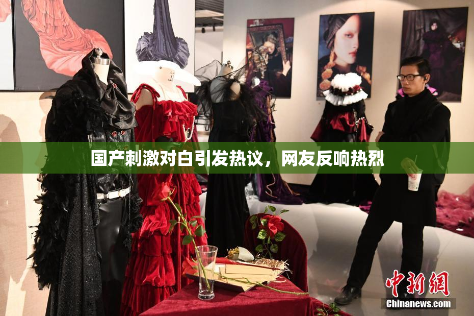 国产刺激对白引发热议，网友反响热烈
