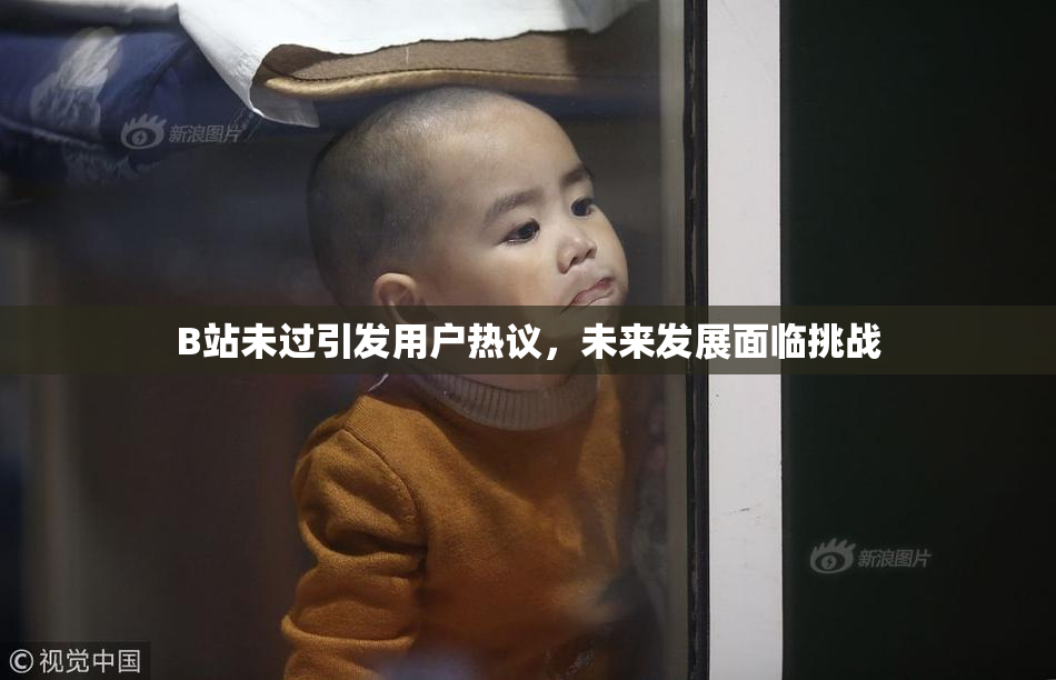 B站未过引发用户热议，未来发展面临挑战