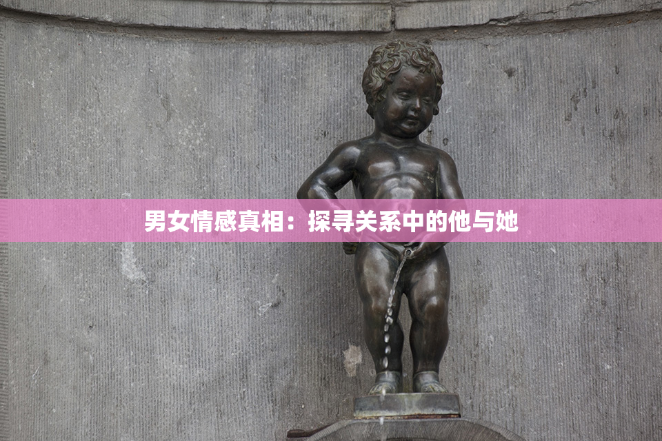 男女情感真相：探寻关系中的他与她