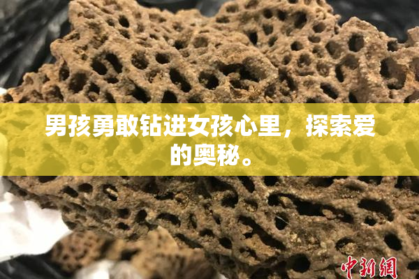 男孩勇敢钻进女孩心里，探索爱的奥秘。