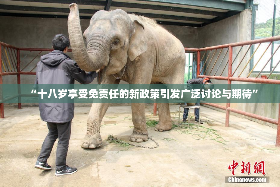 “十八岁享受免责任的新政策引发广泛讨论与期待”
