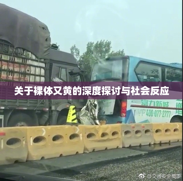 关于裸体又黄的深度探讨与社会反应
