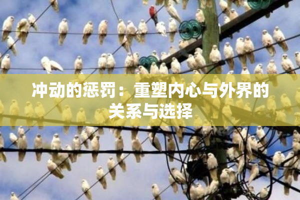 冲动的惩罚：重塑内心与外界的关系与选择