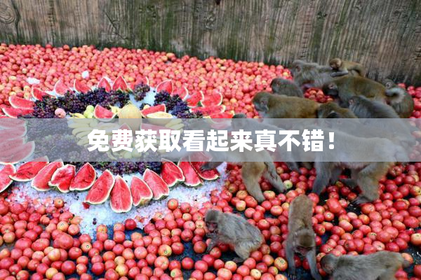 免费获取看起来真不错！