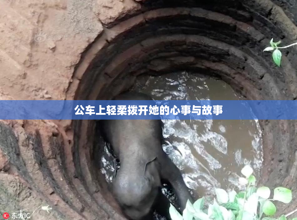 公车上轻柔拨开她的心事与故事