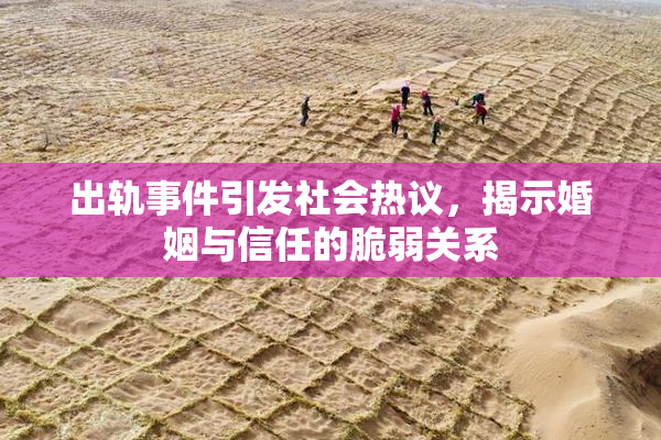 出轨事件引发社会热议，揭示婚姻与信任的脆弱关系