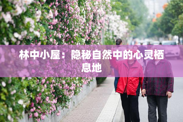 林中小屋：隐秘自然中的心灵栖息地