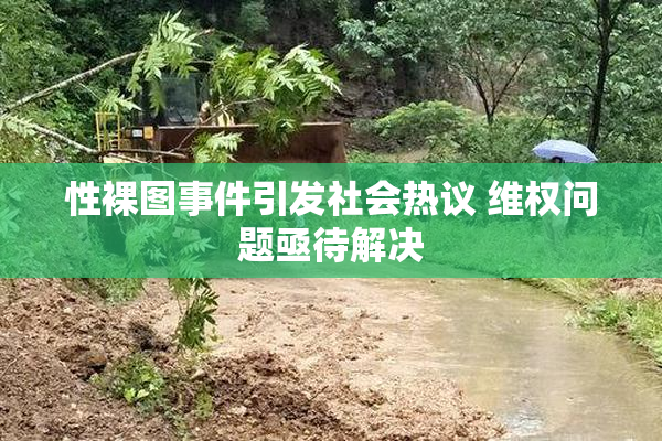 性裸图事件引发社会热议 维权问题亟待解决