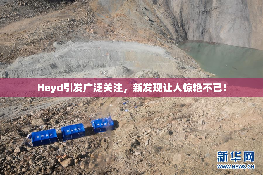 Heyd引发广泛关注，新发现让人惊艳不已！