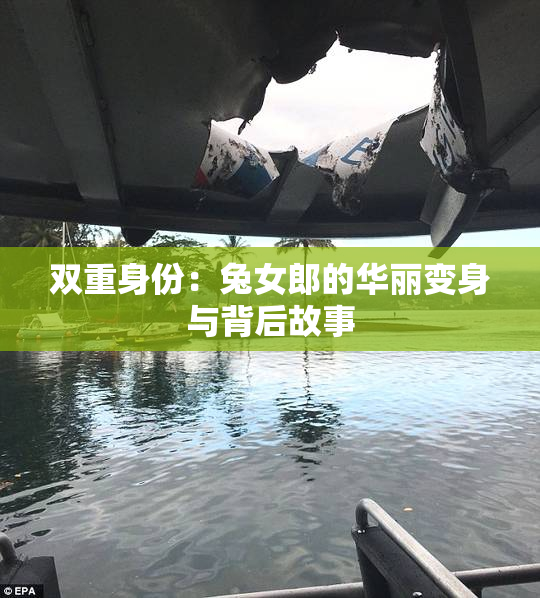 双重身份：兔女郎的华丽变身与背后故事