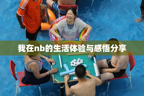 我在nb的生活体验与感悟分享