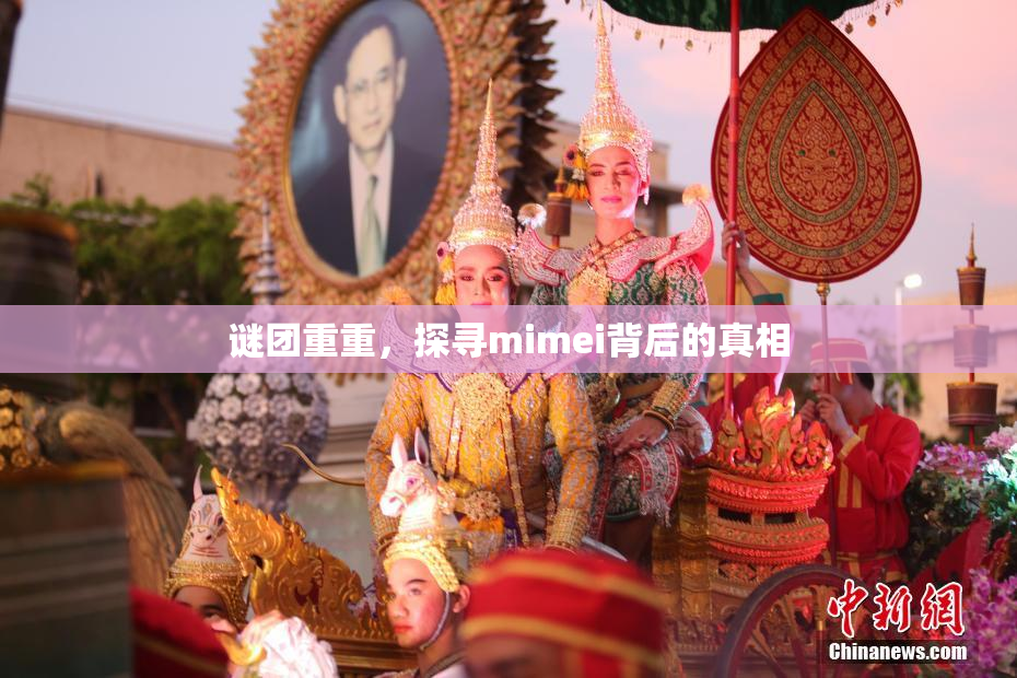 谜团重重，探寻mimei背后的真相