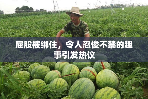 屁股被绑住，令人忍俊不禁的趣事引发热议