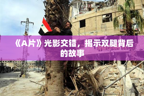 《A片》光影交错，揭示双腿背后的故事
