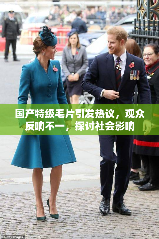 国产特级毛片引发热议，观众反响不一，探讨社会影响