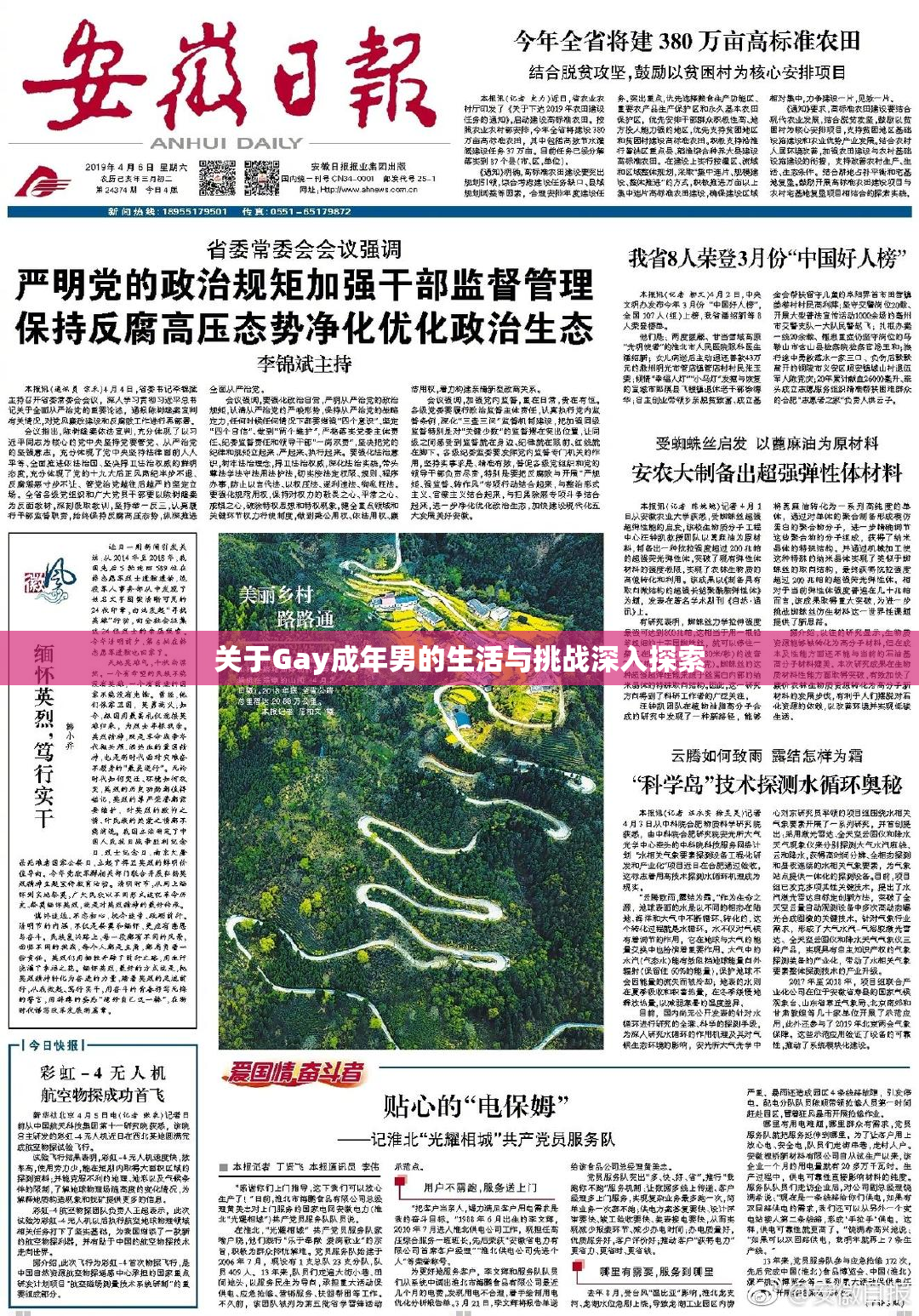 关于Gay成年男的生活与挑战深入探索