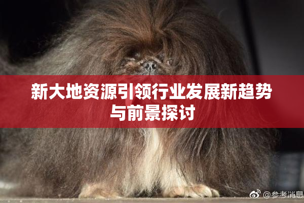 新大地资源引领行业发展新趋势与前景探讨