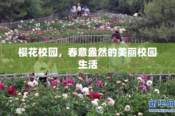 樱花校园，春意盎然的美丽校园生活