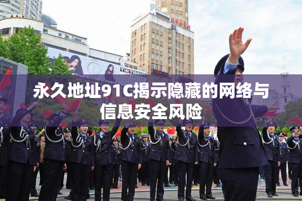 永久地址91C揭示隐藏的网络与信息安全风险