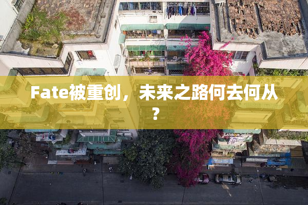 Fate被重创，未来之路何去何从？