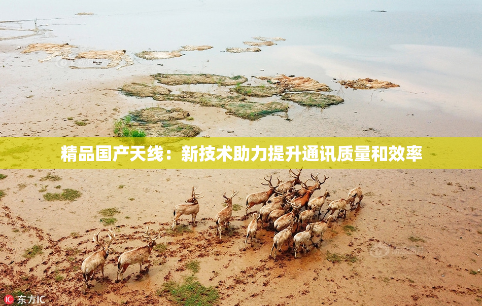 精品国产天线：新技术助力提升通讯质量和效率