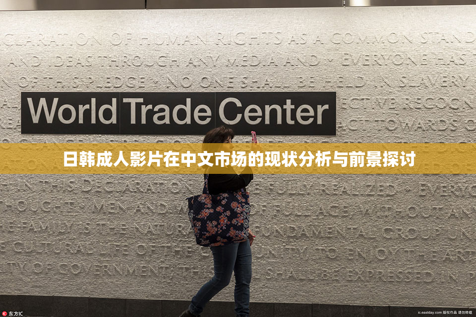 日韩成人影片在中文市场的现状分析与前景探讨