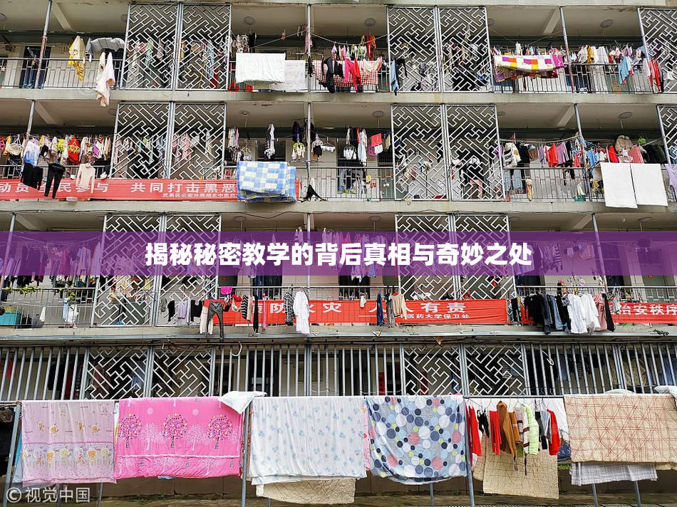 揭秘秘密教学的背后真相与奇妙之处