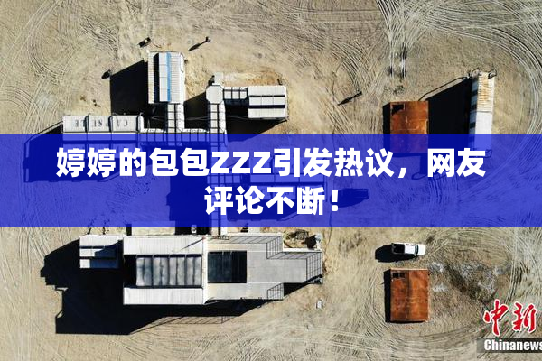 婷婷的包包ZZZ引发热议，网友评论不断！