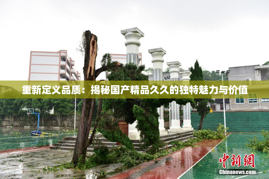 重新定义品质：揭秘国产精品久久的独特魅力与价值