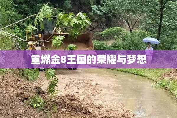 重燃金8王国的荣耀与梦想