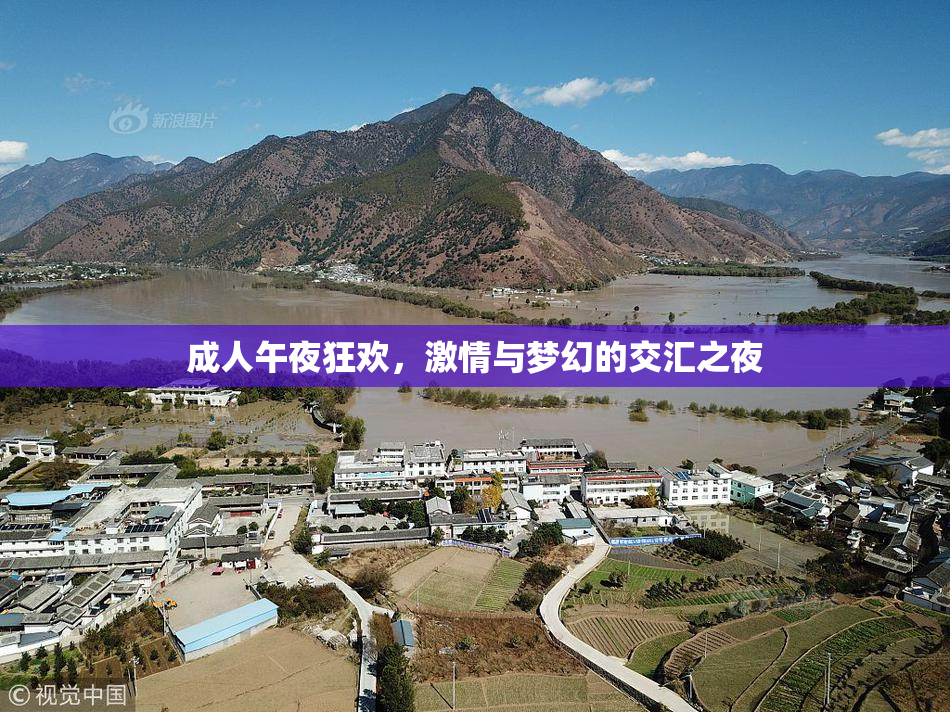 成人午夜狂欢，激情与梦幻的交汇之夜