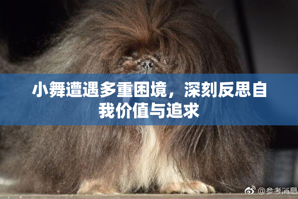 小舞遭遇多重困境，深刻反思自我价值与追求