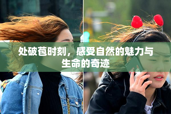 处破苞时刻，感受自然的魅力与生命的奇迹