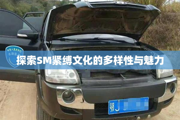 探索SM紧缚文化的多样性与魅力