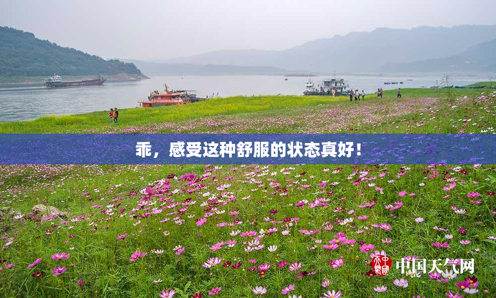乖，感受这种舒服的状态真好！