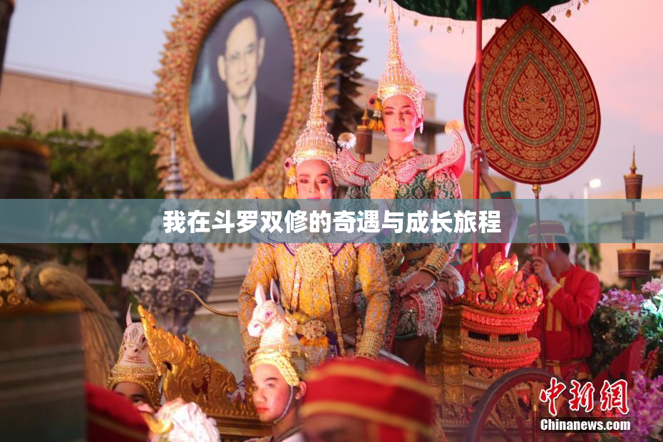 我在斗罗双修的奇遇与成长旅程