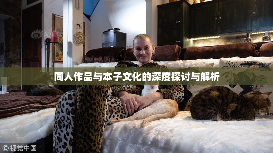 同人作品与本子文化的深度探讨与解析