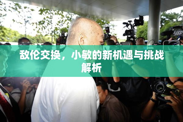 敌伦交换，小敏的新机遇与挑战解析