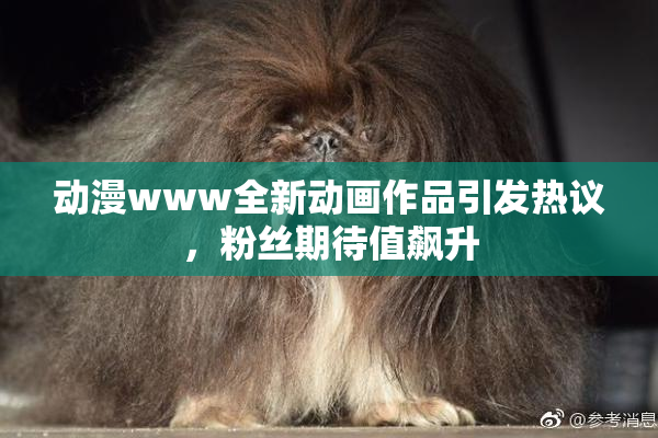 动漫www全新动画作品引发热议，粉丝期待值飙升