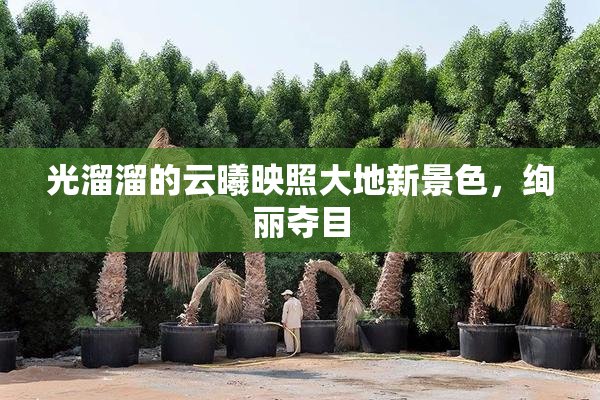 光溜溜的云曦映照大地新景色，绚丽夺目