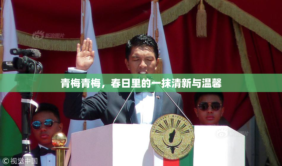 青梅青梅，春日里的一抹清新与温馨