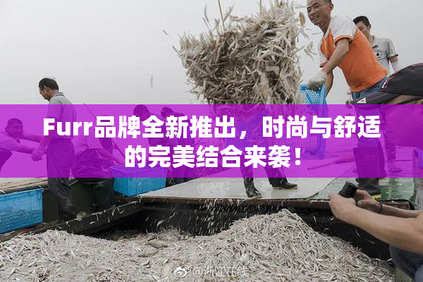 Furr品牌全新推出，时尚与舒适的完美结合来袭！