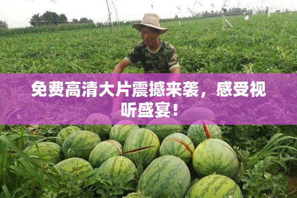 免费高清大片震撼来袭，感受视听盛宴！
