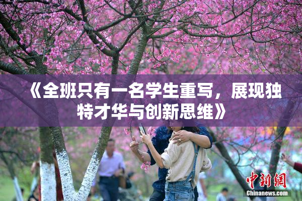 《全班只有一名学生重写，展现独特才华与创新思维》