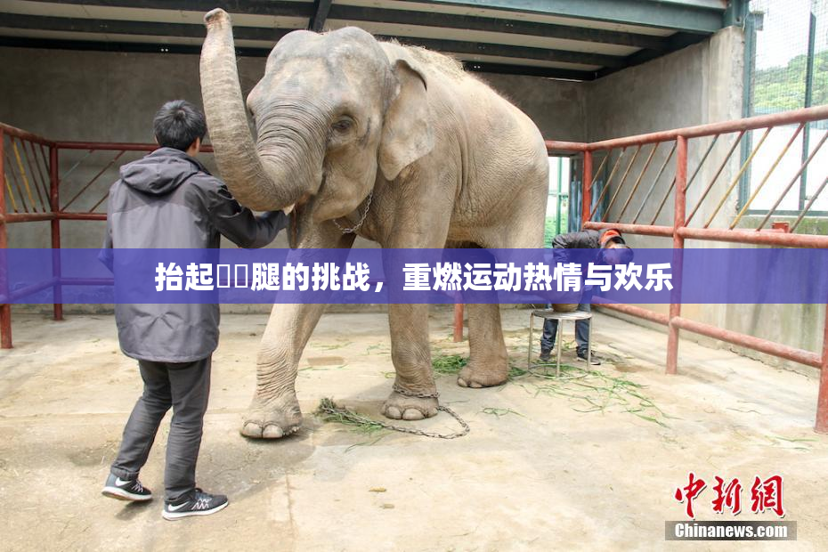 抬起妺妺腿的挑战，重燃运动热情与欢乐