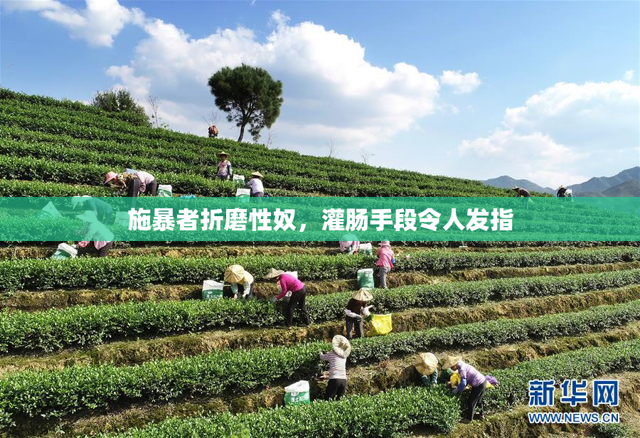 施暴者折磨性奴，灌肠手段令人发指