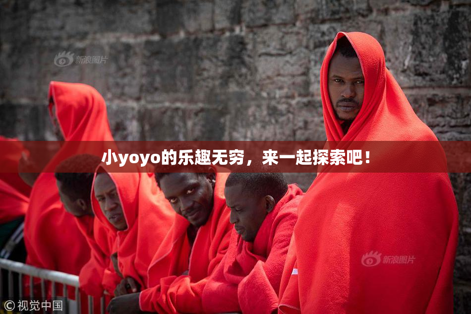小yoyo的乐趣无穷，来一起探索吧！