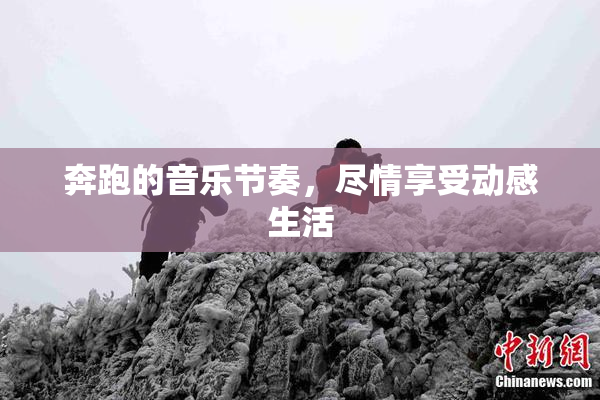 奔跑的音乐节奏，尽情享受动感生活